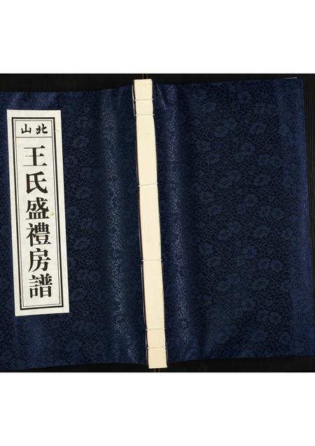 广东王氏族谱-北山王氏盛礼房谱.pdf电子版