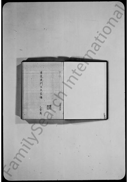 广东王氏族谱-东莞虎门王氏家谱.pdf电子版插图 广东王氏族谱-东莞虎门王氏家谱.pdf电子版插图