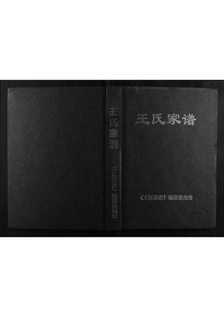 河南王氏族谱-王氏家谱.pdf电子版