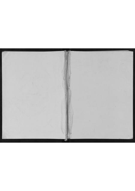 河南王氏族谱-王氏家谱[不分卷].pdf电子版