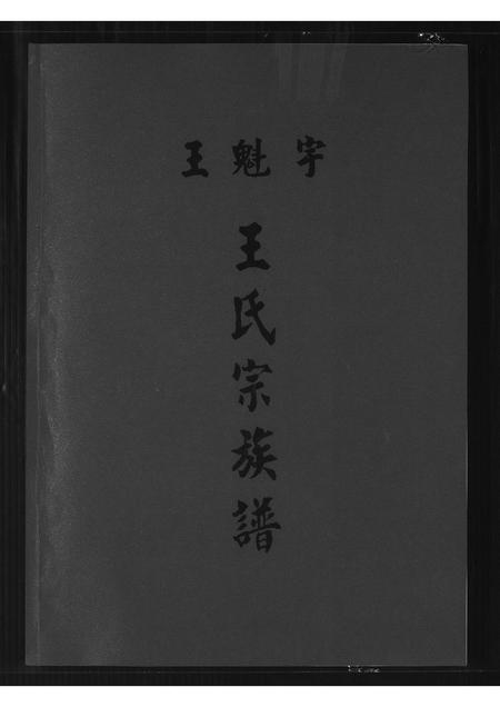 河南王氏族谱-王魁宇.王氏宗族谱.pdf电子版插图 河南王氏族谱-王魁宇.王氏宗族谱.pdf电子版插图