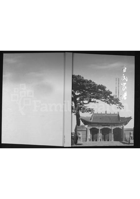 河南王氏族谱-王氏家谱 [不分卷].pdf电子版