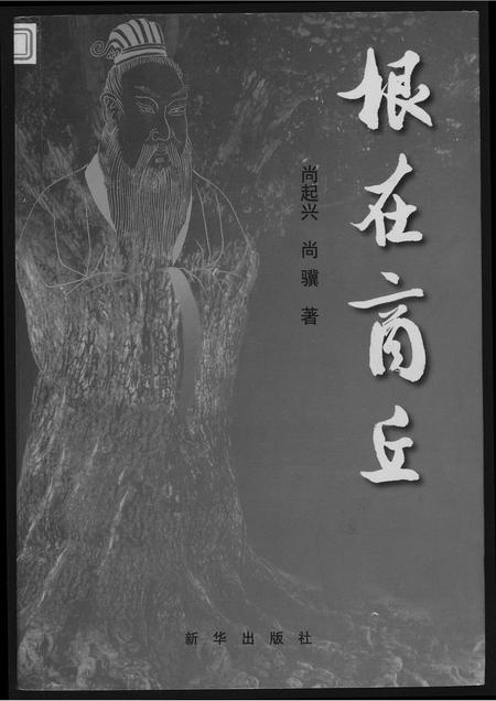 河南未知族谱-根在商丘.pdf电子版插图