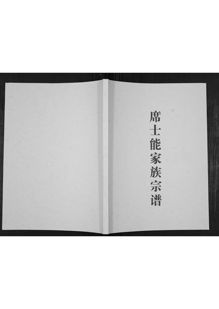 河南席氏族谱-席士能家族宗谱[不分卷].pdf电子版插图