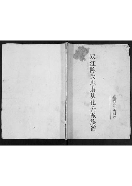福建陈氏族谱-双江陈氏忠肃从化公派族谱.盛明公支副本.pdf电子版