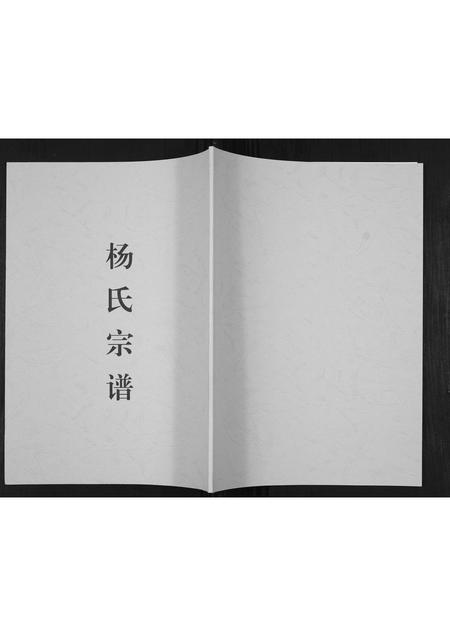 河南杨氏族谱-杨氏宗谱[不分卷].pdf电子版插图