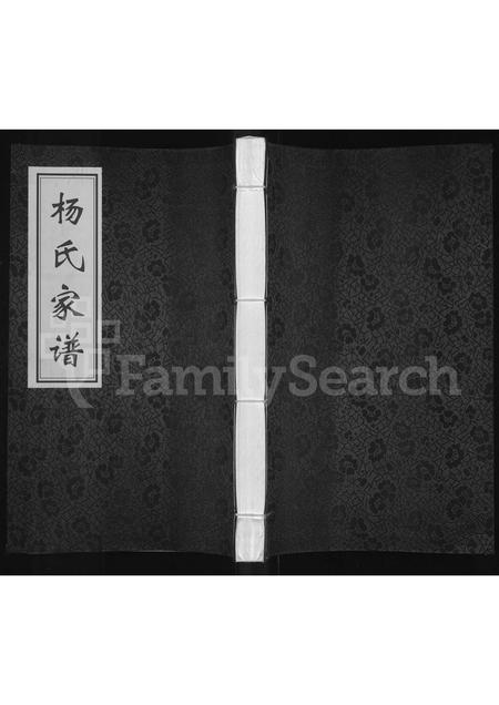 河南杨氏族谱-杨氏家谱.pdf电子版插图 河南杨氏族谱-杨氏家谱.pdf电子版插图