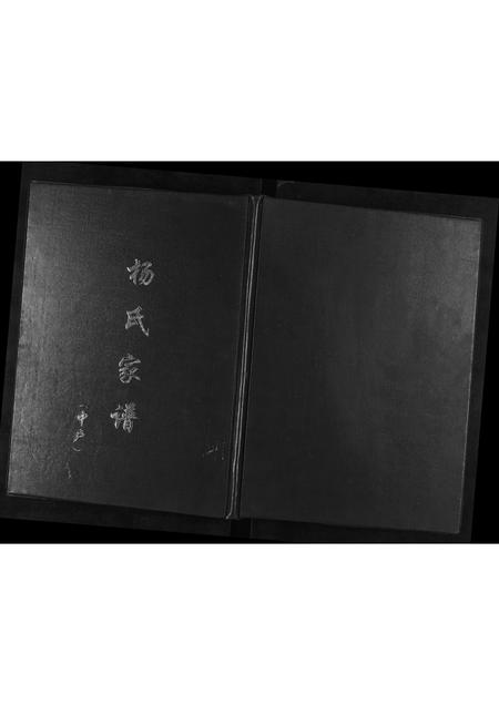 河南杨氏族谱-杨氏家谱[不分卷].pdf电子版插图
