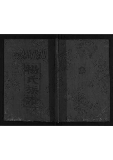 河南杨氏族谱-杨氏族谱.pdf电子版插图
