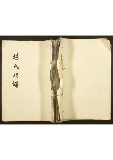 河南杨氏族谱-杨氏族谱.pdf电子版插图