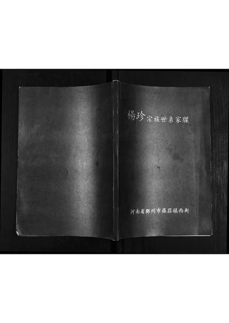 河南杨氏族谱-杨珍宗族世系家牒.pdf电子版插图