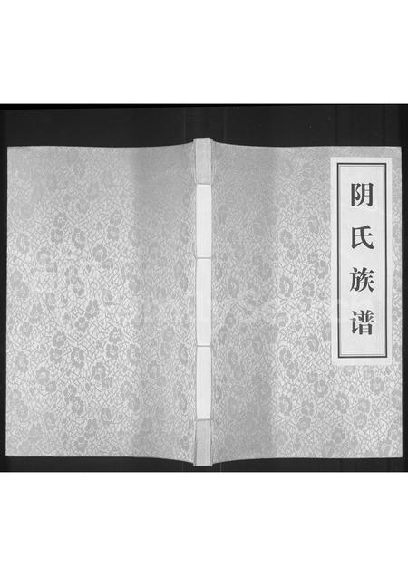 河南阴氏族谱-阴氏族谱.pdf电子版插图