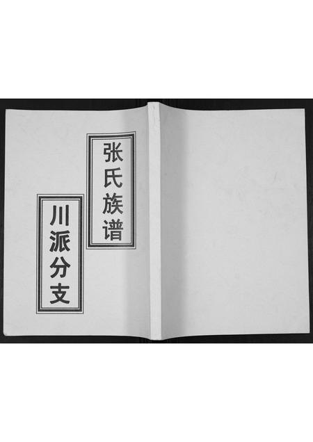 广东张氏族谱-张氏族谱.pdf电子版插图