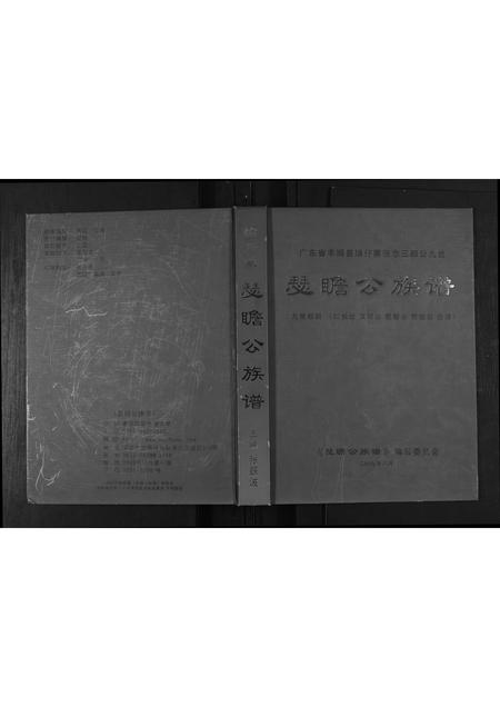 广东张氏族谱-张念三郎九世瑟瞻公公族谱.pdf电子版插图