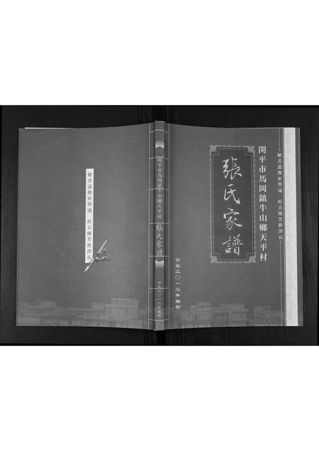 广东张氏族谱-张氏家谱.pdf电子版插图