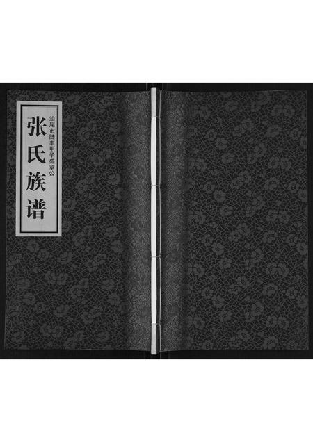 广东张氏族谱-张氏族谱[不分卷].pdf电子版插图
