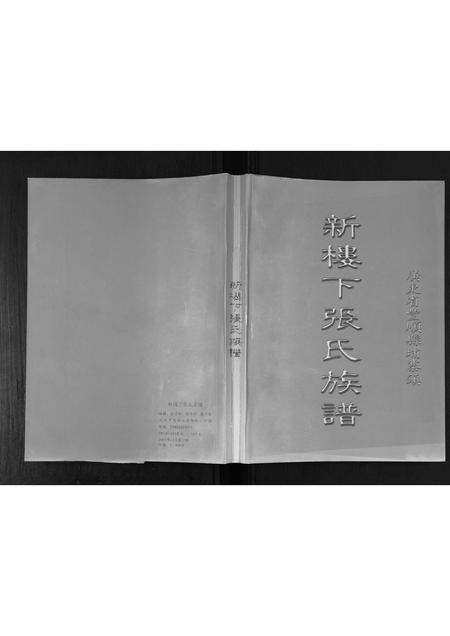 广东张氏族谱-新楼下张氏族谱.pdf电子版插图