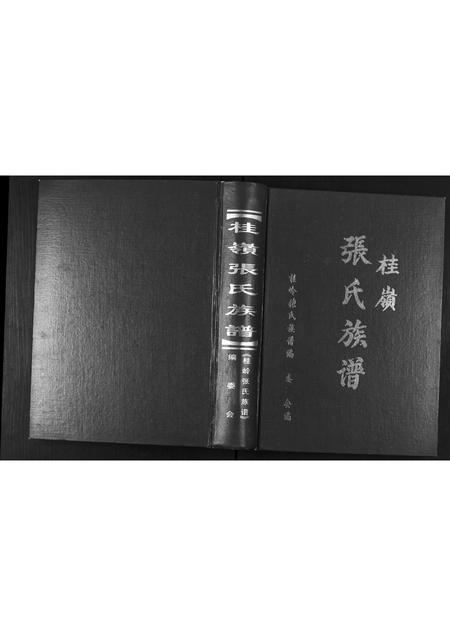 广东张氏族谱-桂岭张氏族谱.pdf电子版