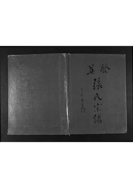 广东张氏族谱-英发张氏宗谱.pdf电子版插图 广东张氏族谱-英发张氏宗谱.pdf电子版插图