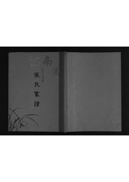 河南张氏族谱-南流张氏家谱[不分卷].pdf电子版