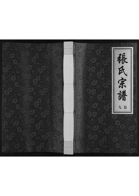 河南张氏族谱-张氏宗谱[不分卷].pdf电子版