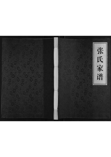 河南张氏族谱-张氏家谱[不分卷].pdf电子版