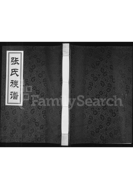 河南张氏族谱-张氏族谱.pdf电子版插图 河南张氏族谱-张氏族谱.pdf电子版插图