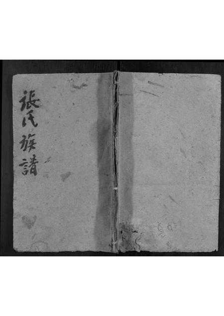 河南张氏族谱-张氏族谱.pdf电子版