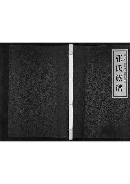 河南张氏族谱-张氏族谱[不分卷].pdf电子版插图