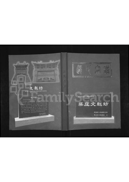 河南赵氏族谱-赵氏家谱.pdf电子版插图