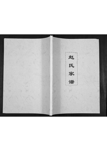 河南赵氏族谱-赵氏家谱.pdf电子版插图