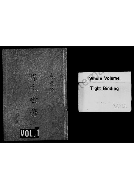 河南陈氏族谱-陈氏世谱.pdf电子版