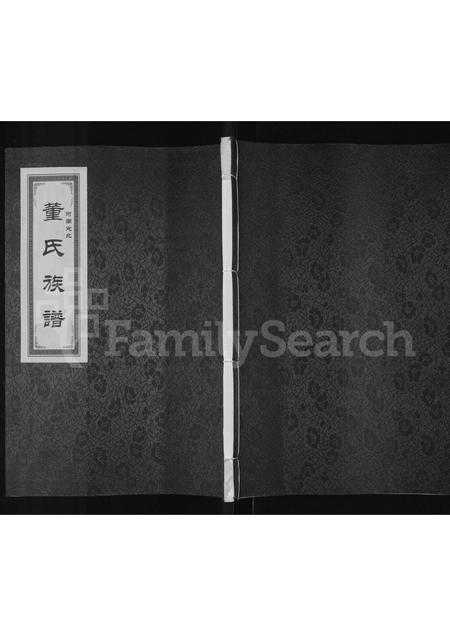 河南董氏族谱-河南宛北董氏族谱.pdf电子版