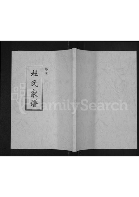 河南杜氏族谱-郭沟杜氏家谱.pdf电子版插图 河南杜氏族谱-郭沟杜氏家谱.pdf电子版插图