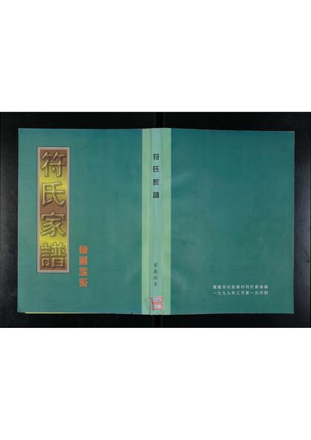 河南符氏族谱-符氏家谱 _ 巩义族系.pdf电子版插图