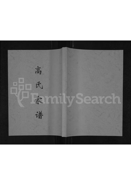 河南高氏族谱-高氏家谱 _ 登封市磴槽村(包括箭沟村).pdf电子版插图