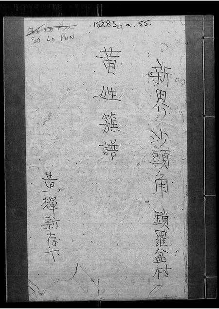 广东黄氏族谱-黄姓族谱 _ 新界沙头角锁罗盆村.pdf电子版插图