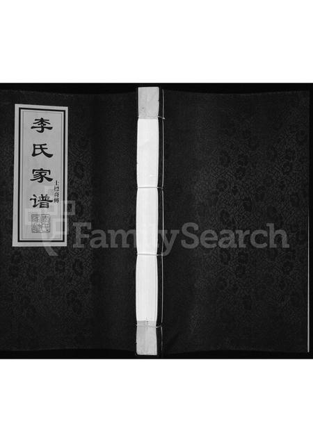 广东李氏族谱-李氏家谱 _ 士标裔传.pdf电子版插图