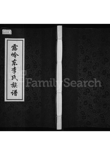 河南李氏族谱-露岭东李氏族谱.pdf电子版插图