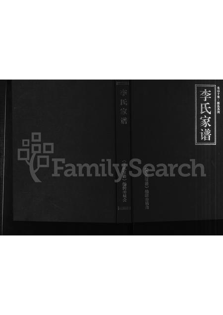 河南李氏族谱-李氏家谱 _ 光山十里,新县苏河.pdf电子版插图