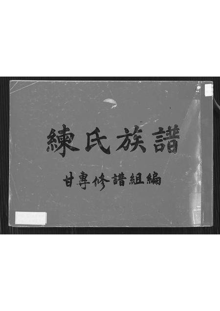 广东练氏族谱-练氏族谱 [不分卷].pdf电子版插图