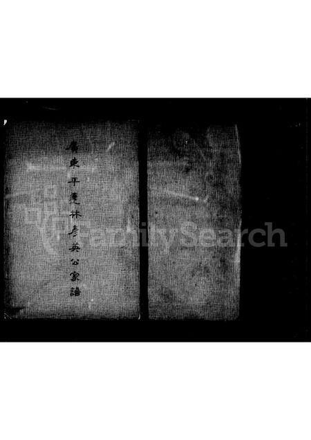 广东林氏族谱-广东平远林彦英公家谱 [4卷].pdf电子版插图