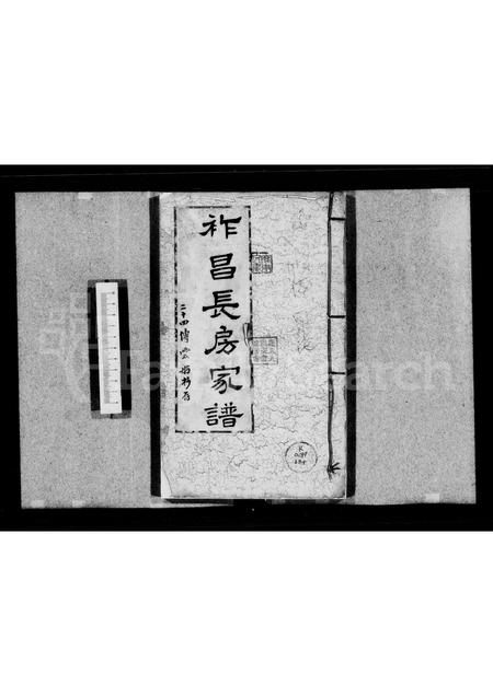 广东罗氏族谱-[罗氏]祚昌长房家谱.pdf电子版插图
