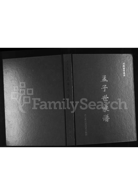 河南孟氏族谱-孟子世家谱 _ 河南省项城市.pdf电子版插图