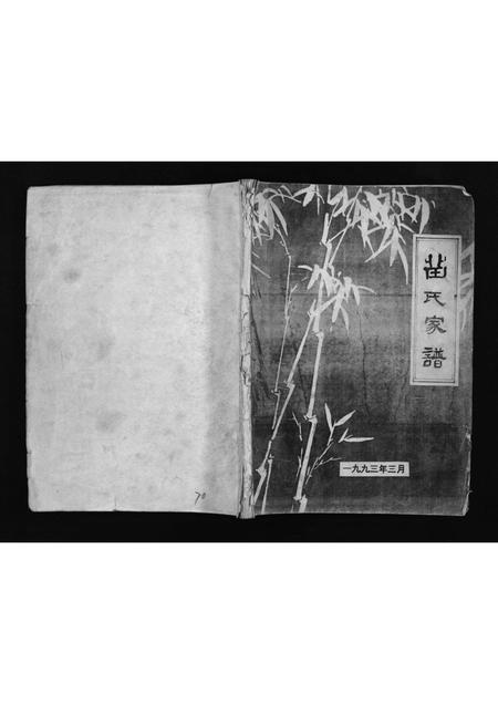 河南苗氏族谱-苗氏家谱 [不分卷].pdf电子版插图