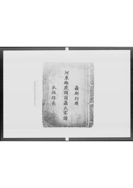 广东聂氏族谱-河东郡鹿颈岗聂氏家谱 [不分卷].pdf电子版插图