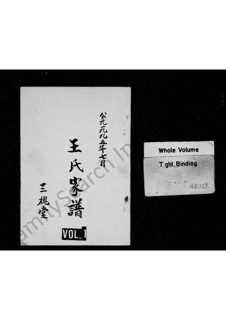 河南王氏族谱-王氏家谱 _ [贯道口].pdf电子版插图