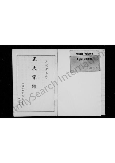 河南王氏族谱-王氏家谱 _ 三槐堂, 王沟 [8卷].pdf电子版插图