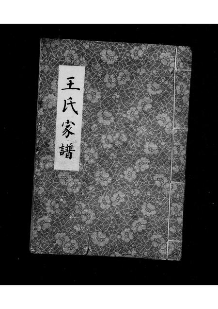 河南王氏族谱-王氏族谱 _ 三槐堂.pdf电子版插图