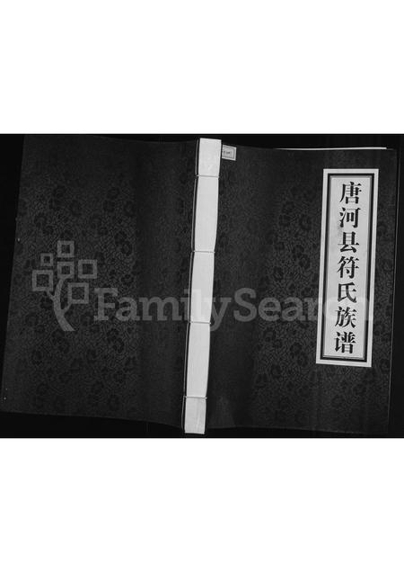 河南未知族谱-唐河县符氏族谱.pdf电子版插图
